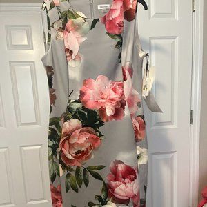 NWT Calvin Klein Women's Dress 14